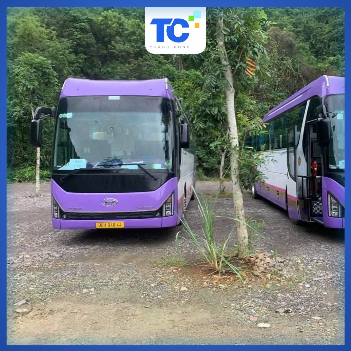 THUÊ XE ĐI BIỂN CÙNG NHÀ XE THÀNH CÔNG - CHỦ ĐỘNG LỊCH TRÌNH,AN TÂM DI CHUYỂN